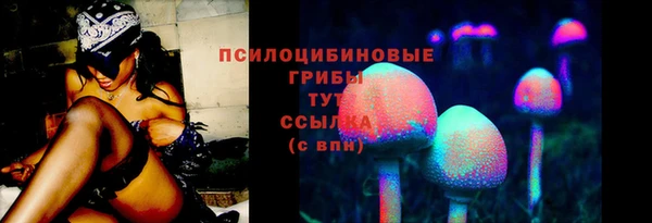 PSILOCYBIN Елабуга