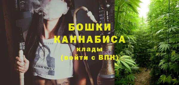 трава Магас
