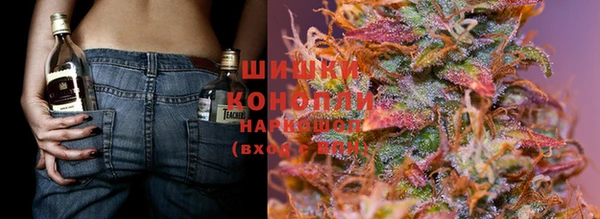 индика Майский