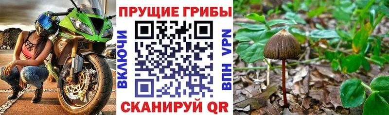 Псилоцибиновые грибы прущие грибы  Новая Ляля 